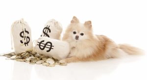 how much does a puppy cost?