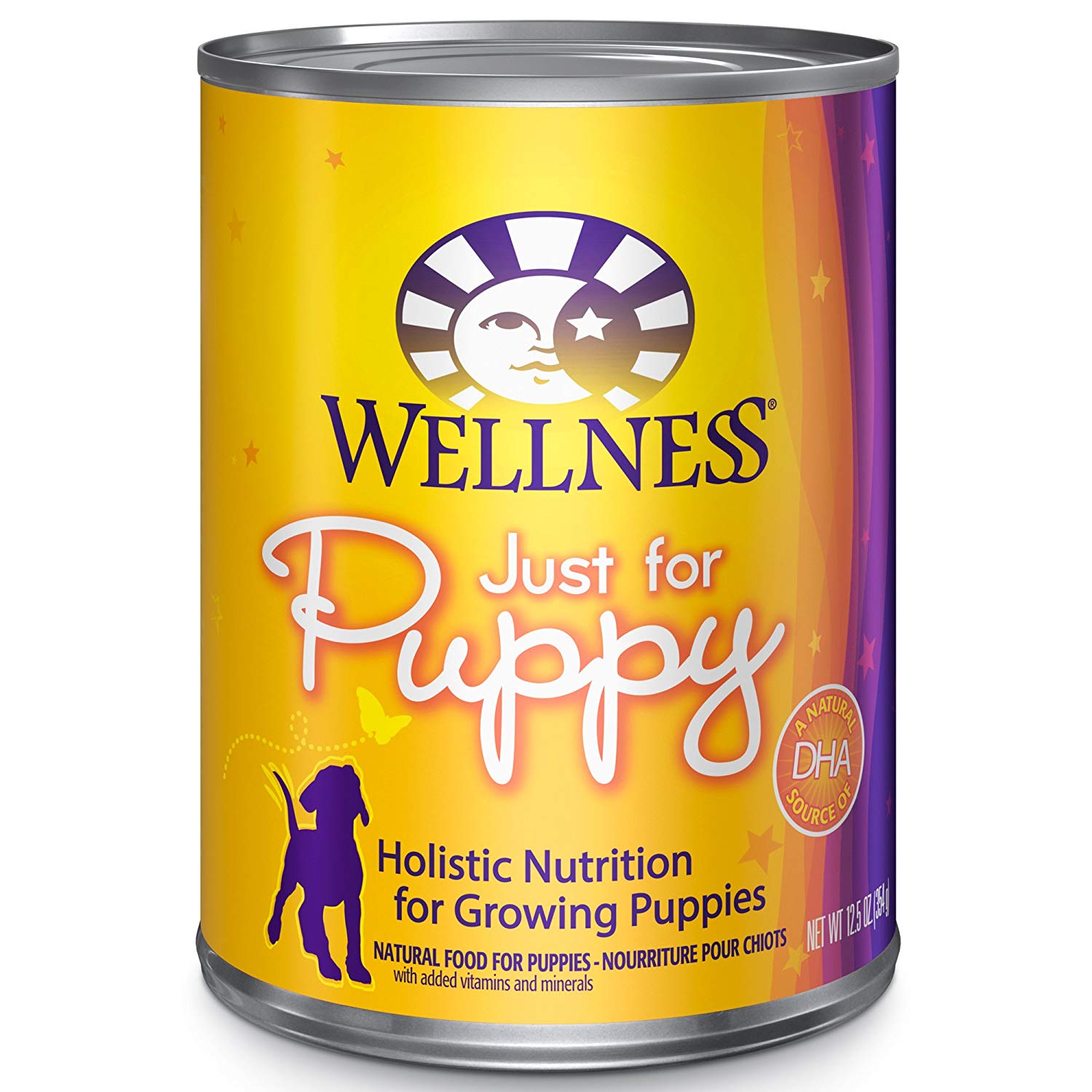 Best Food for Pomeranian Puppy Dogs What To Feed Your Pom Puppy