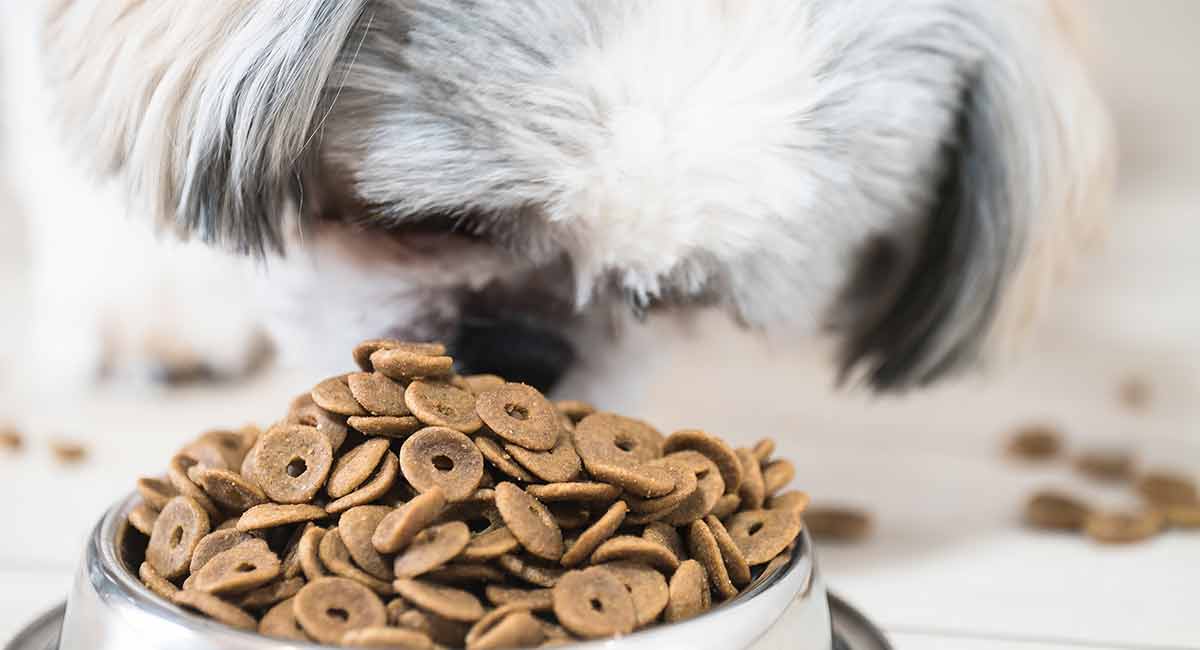 mejor comida para cachorros de shih tzu