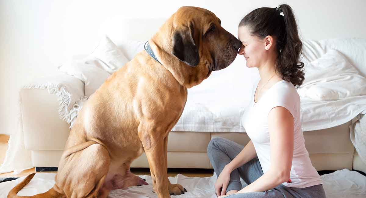 dog names for big dogs