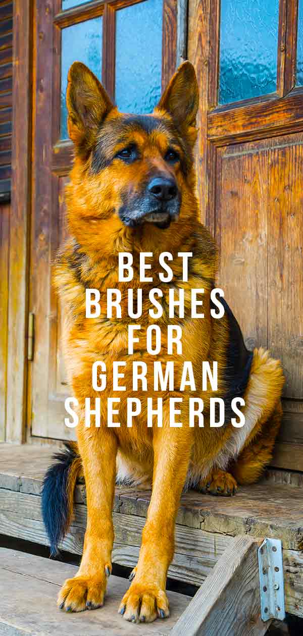 undercoat brush for german shepherd