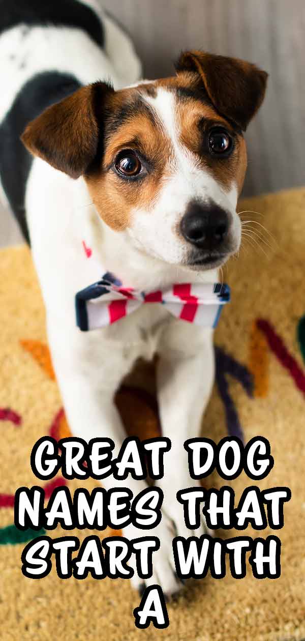 dog names that start with a