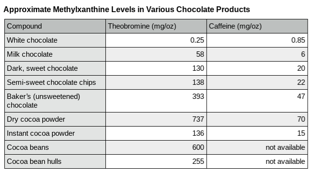 dogs eating chocolate - table