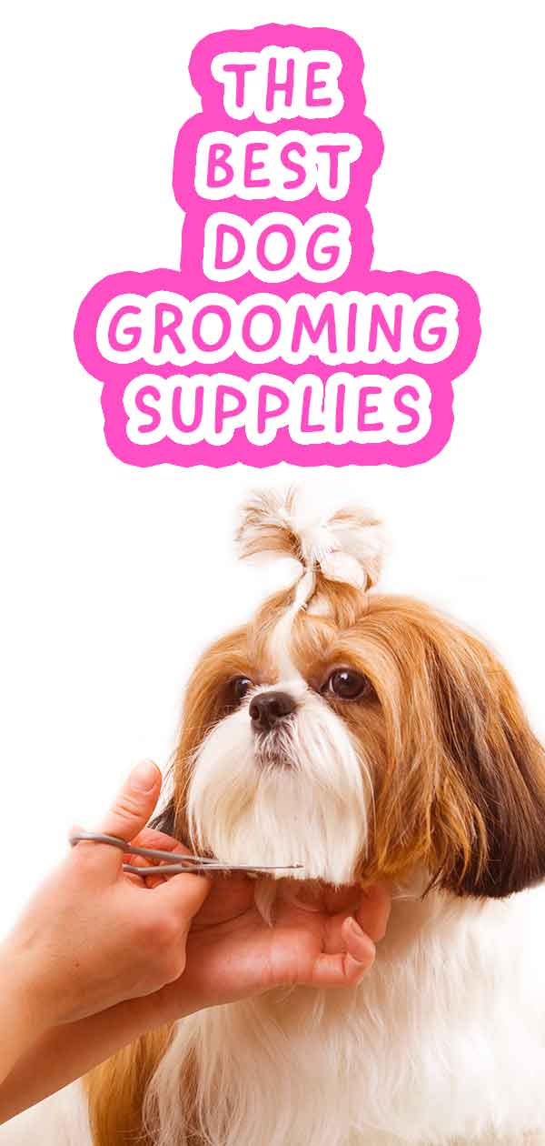 professional dog grooming supplies