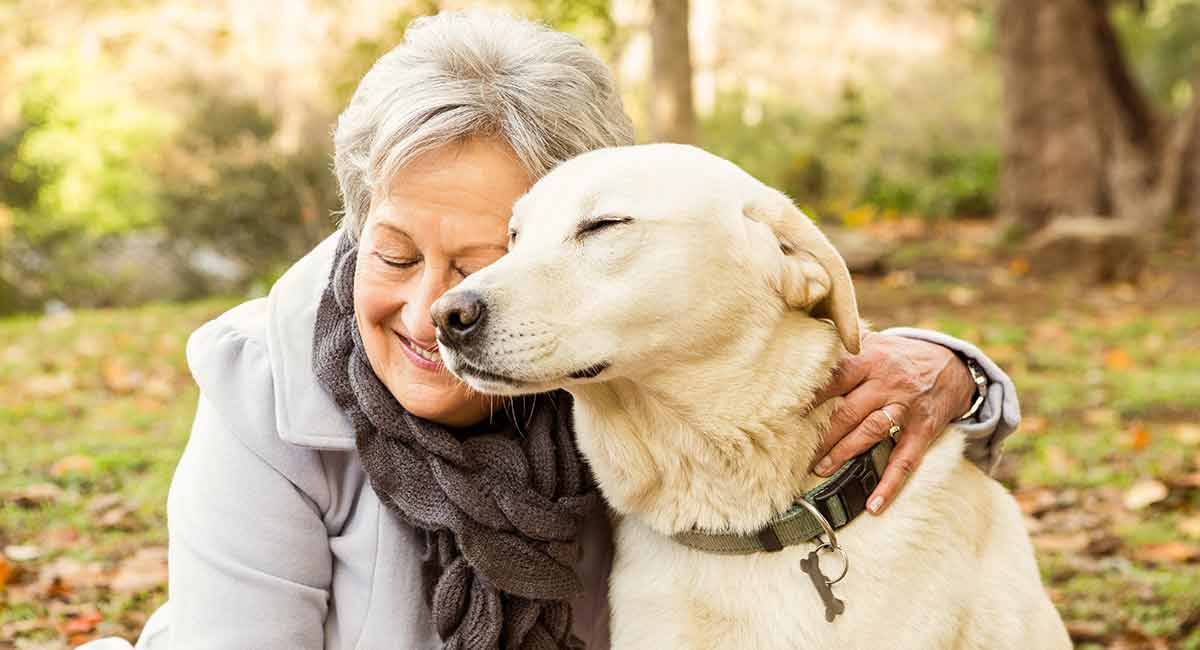 Calm Dog Breeds The Most Relaxed Canine Companions