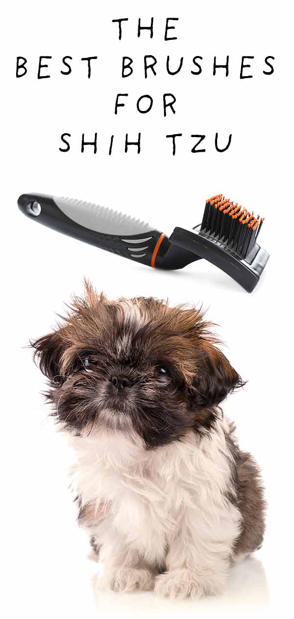 what tools do i need to groom my shih tzu