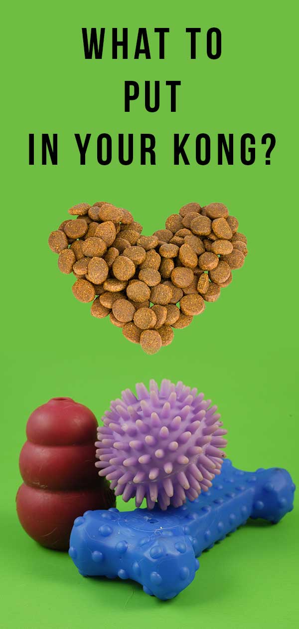 Best Kong Fillers â What to Put in a Kong Chew Toy