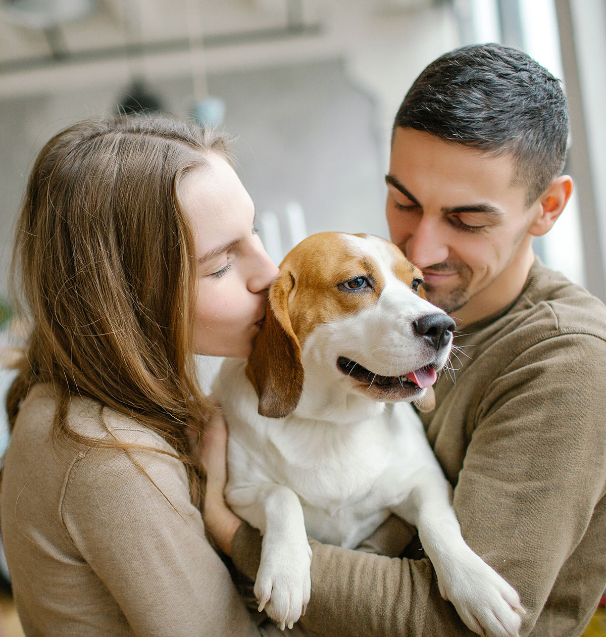 are beagles good family dogs