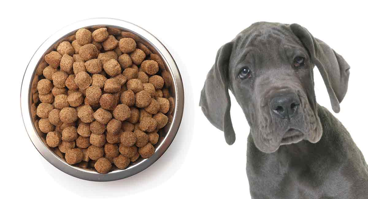 recommended food for great danes