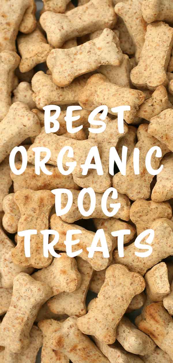 best organic dog treats