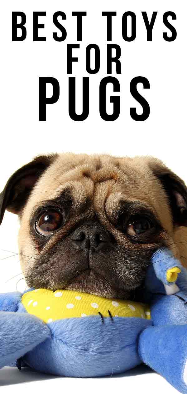 pug toys online