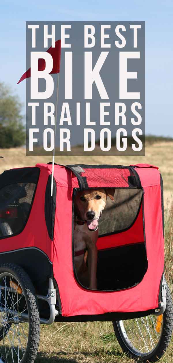 best dog trailer