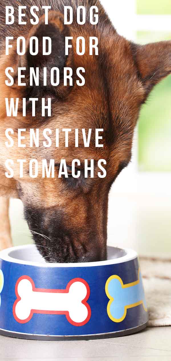 best dog food for senior dogs with sensitive stomachs