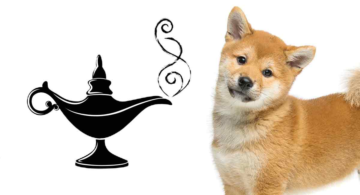 Disney Dog Names Great Ideas For Your New Pup