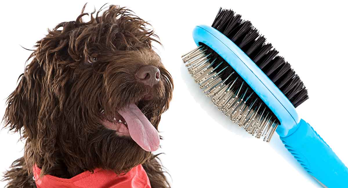 dog brush that trims hair