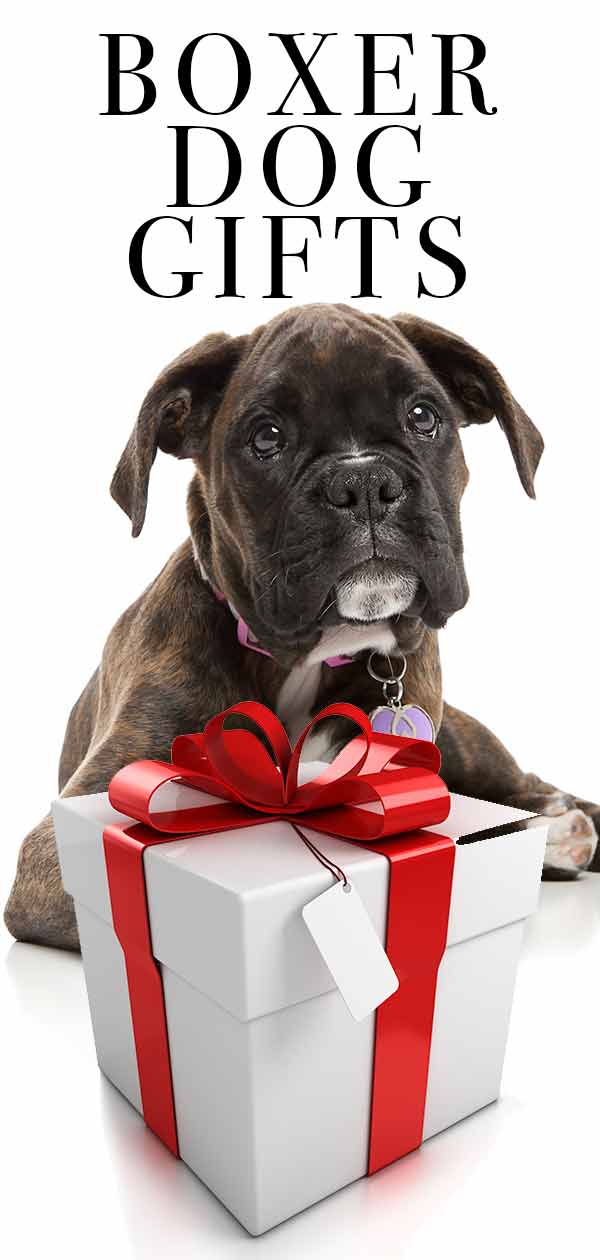 Boxer Dog Gifts - Perfect Gifts for 