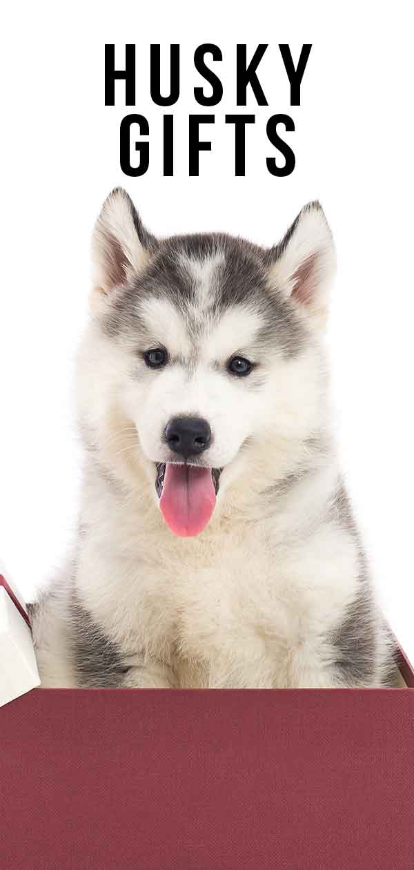 siberian husky gifts for dog lovers