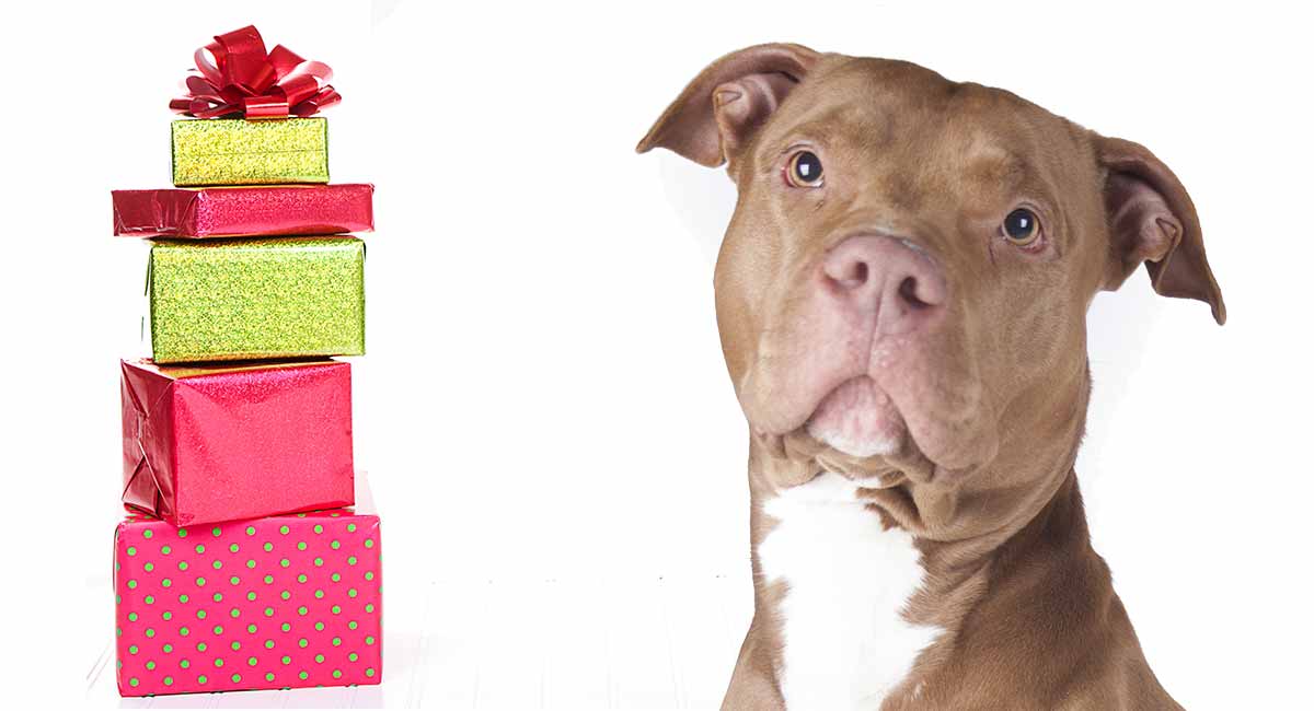 gifts for pitbull lovers