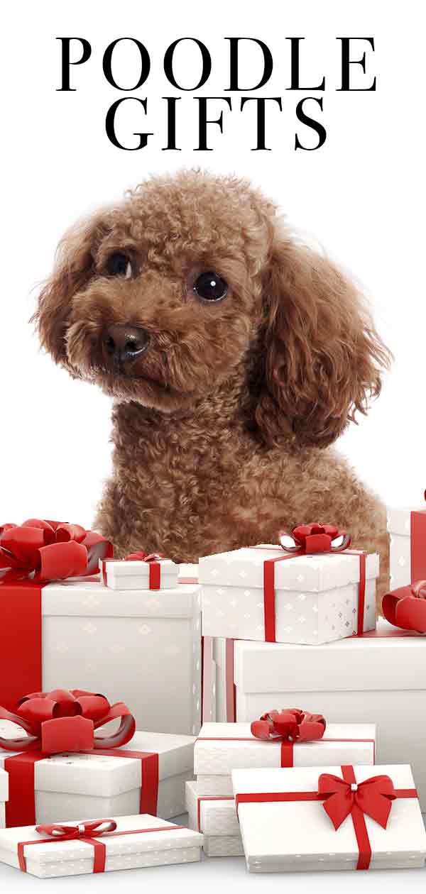 black poodle gifts