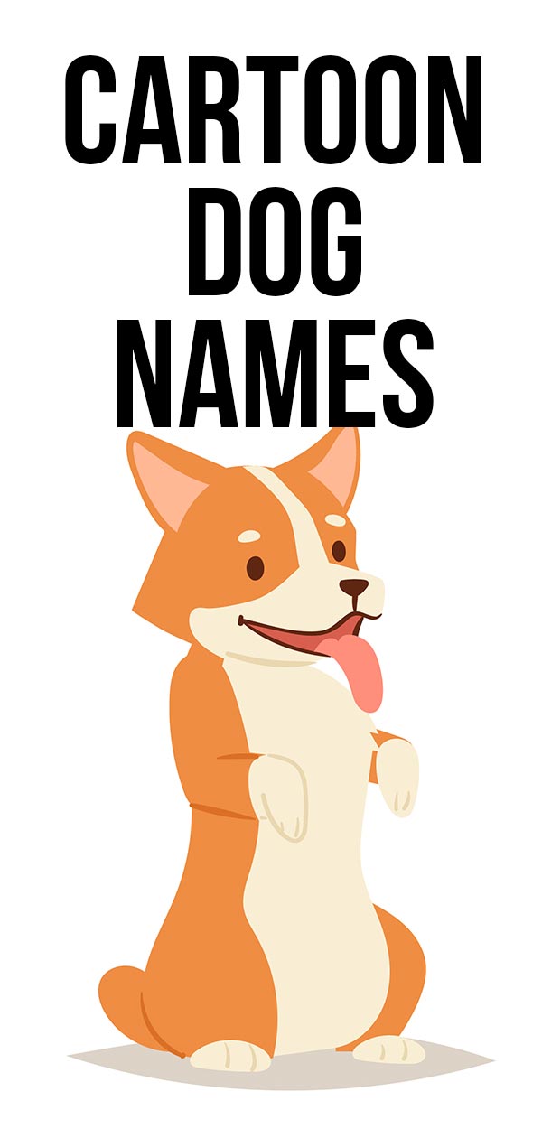 Cartoon Dog Names - Character Names From TV Shows to Animation