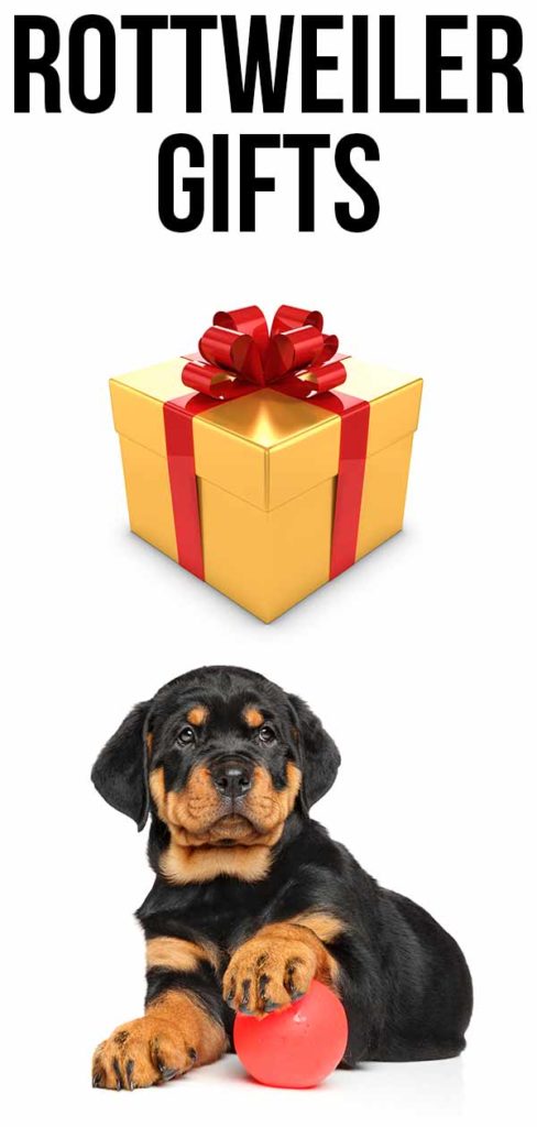 Rottweiler Gifts - Fantastic Gifts For All Kinds of Rottie Owners