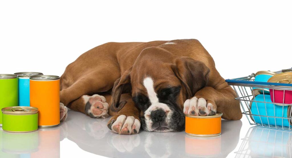 Good Food for Boxer Puppies A Guide to Nourishing Your Pup