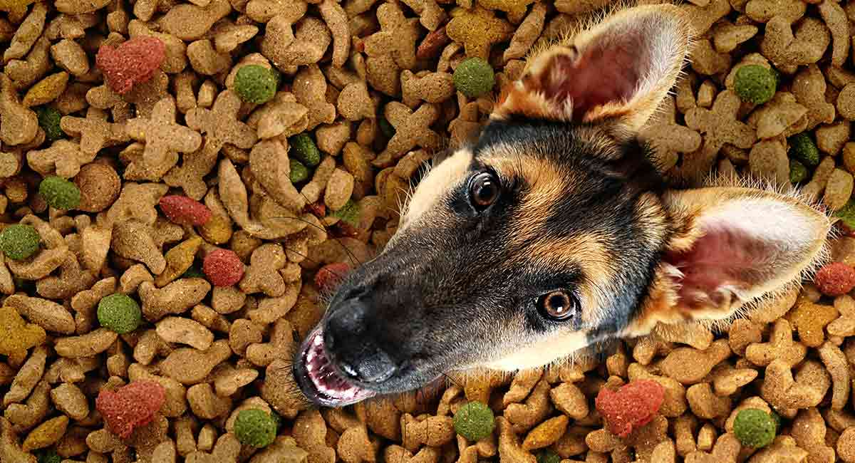 best dog food for German Shepherd Dogs HP long