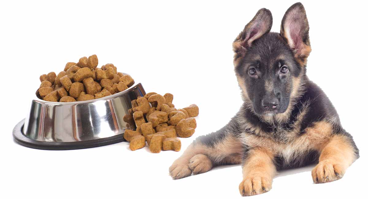 how many calories does a german shepherd puppy need