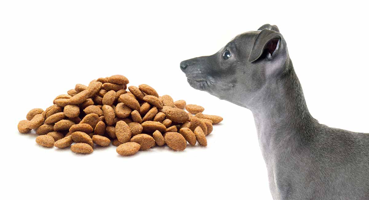 Best food for whippets best sale