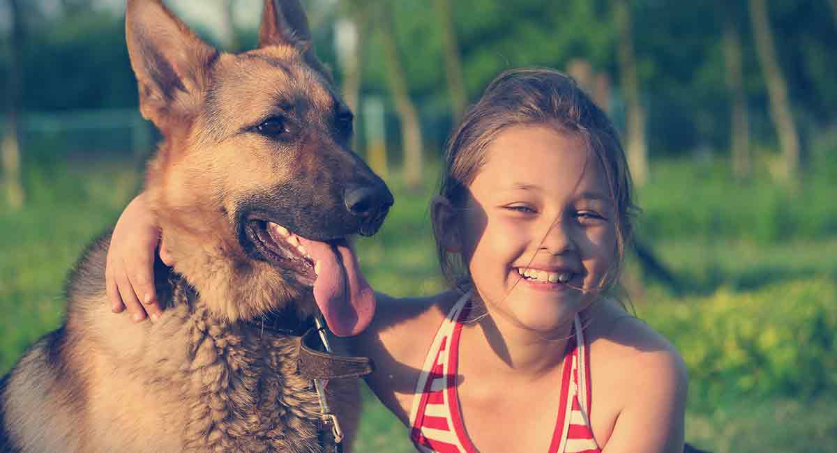 are german shepherds good family dogs