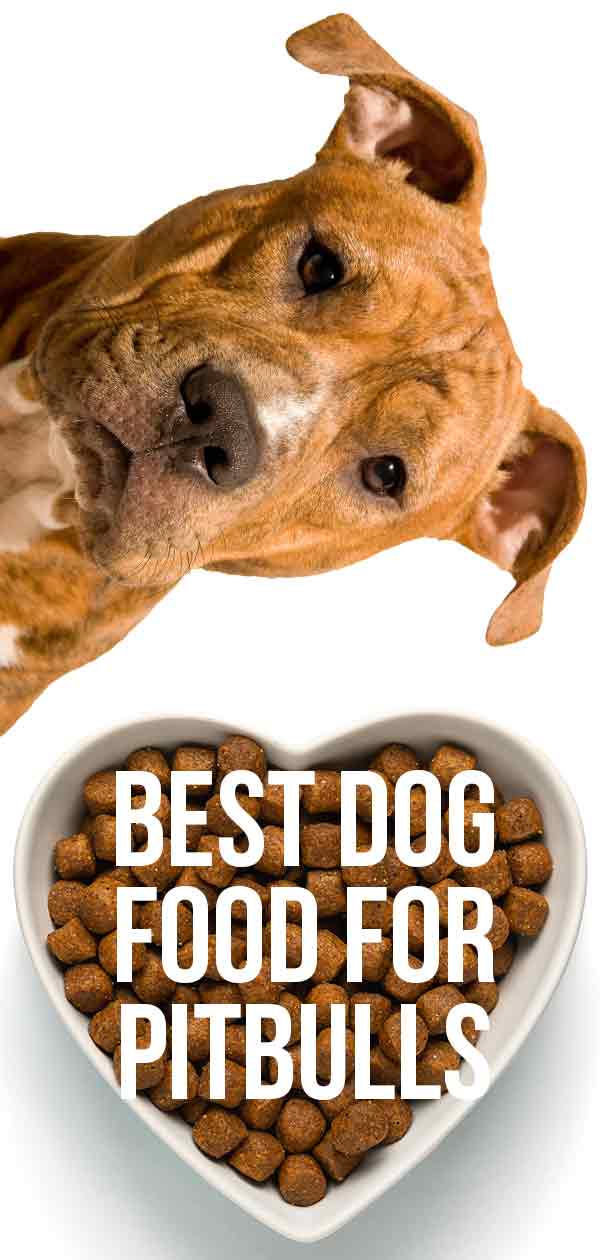 Best Dog Food For Pitbulls - Giving Your Dog The Right Diet