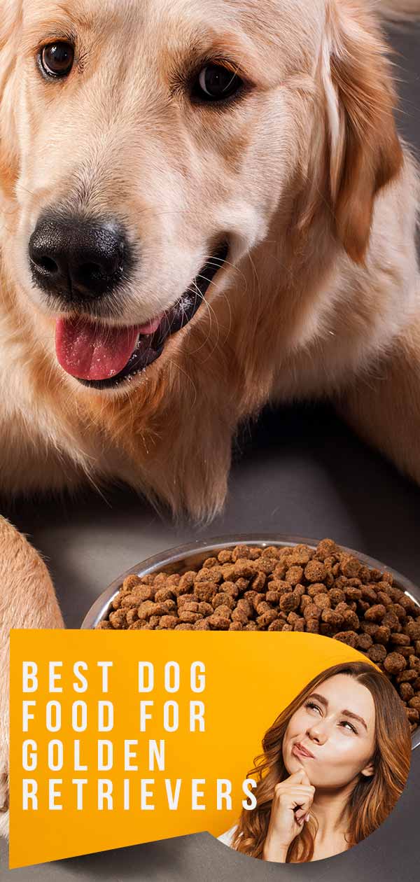 best dog food for golden retriever