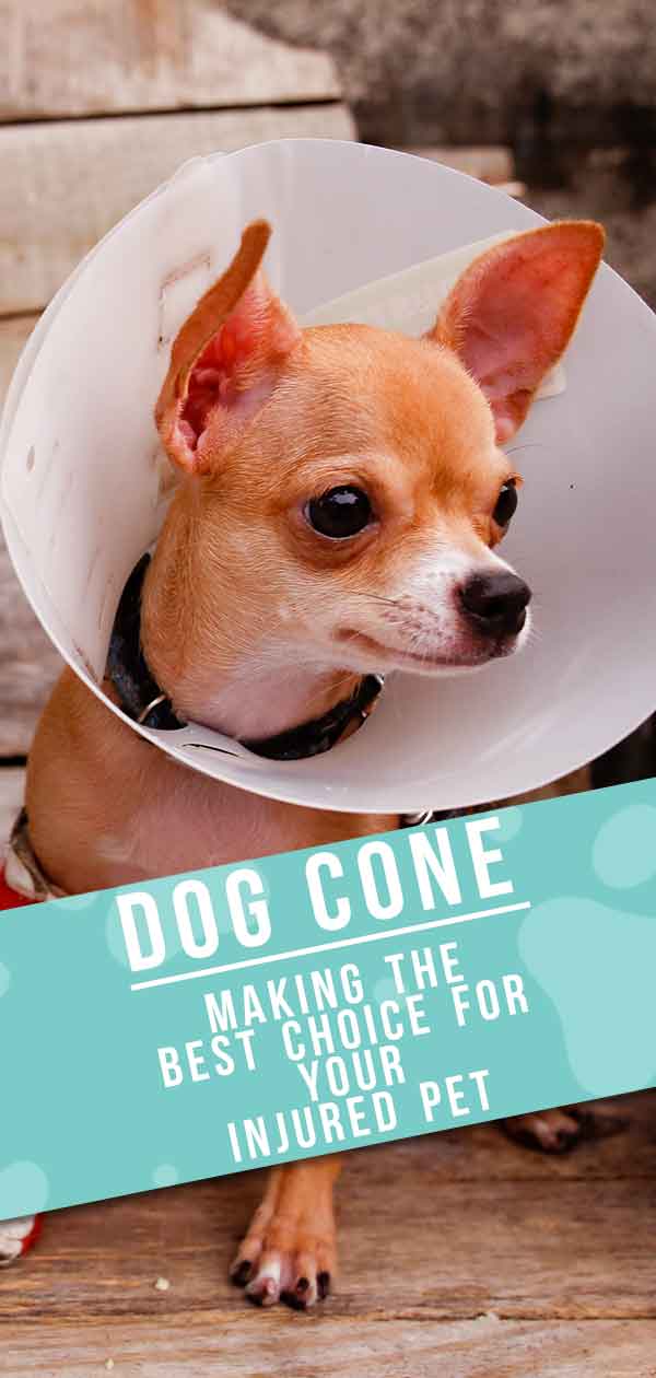 how long does a dog need to wear a cone