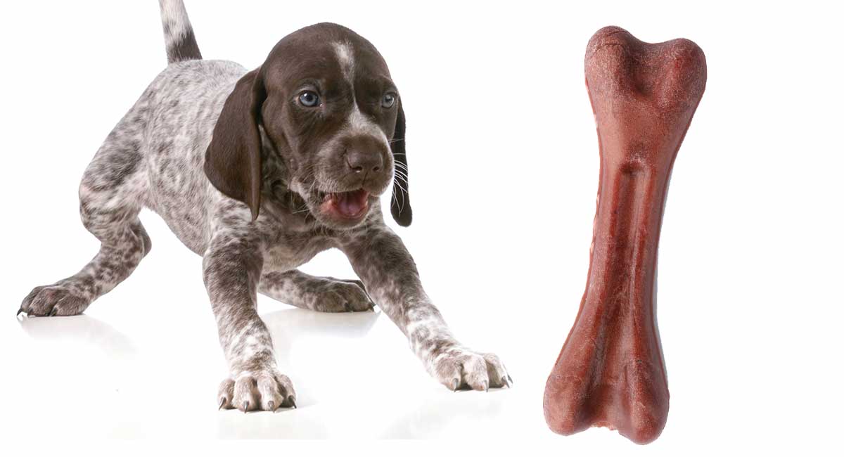 best chew toys for german shorthaired pointer