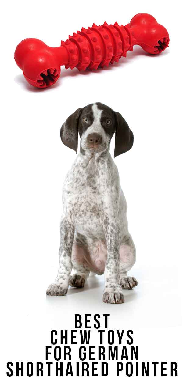 best chew toys for german shorthaired pointer