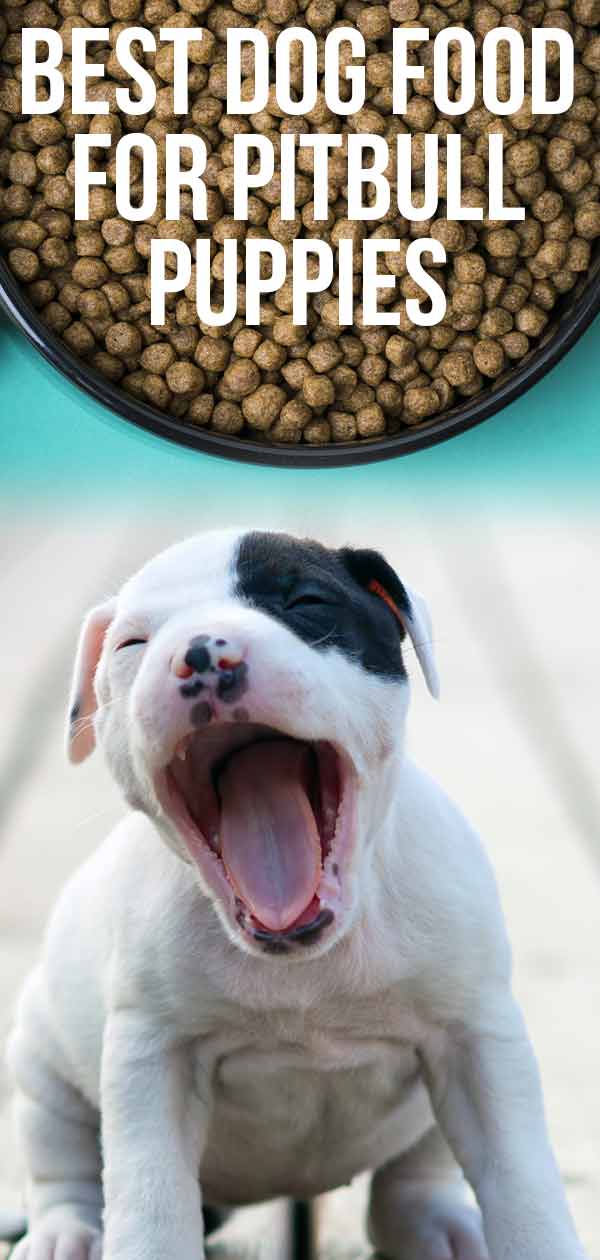 Best Dog Food For Pitbull Puppies - The Healthiest Choices ...