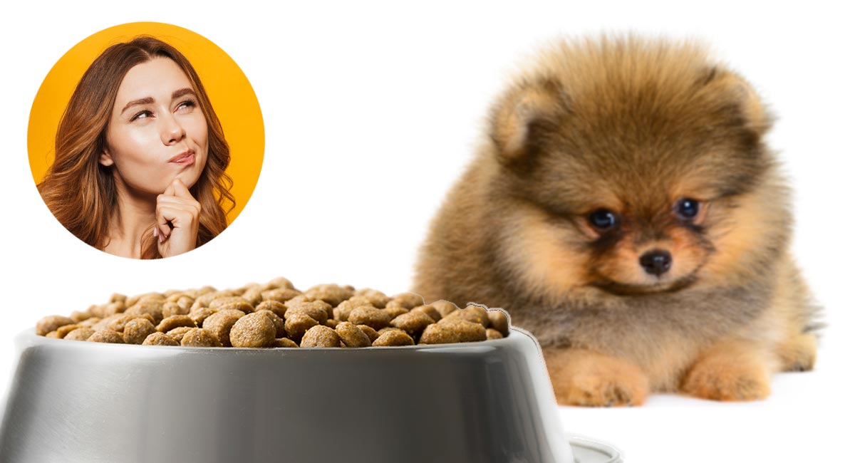 best food for pomeranian puppy