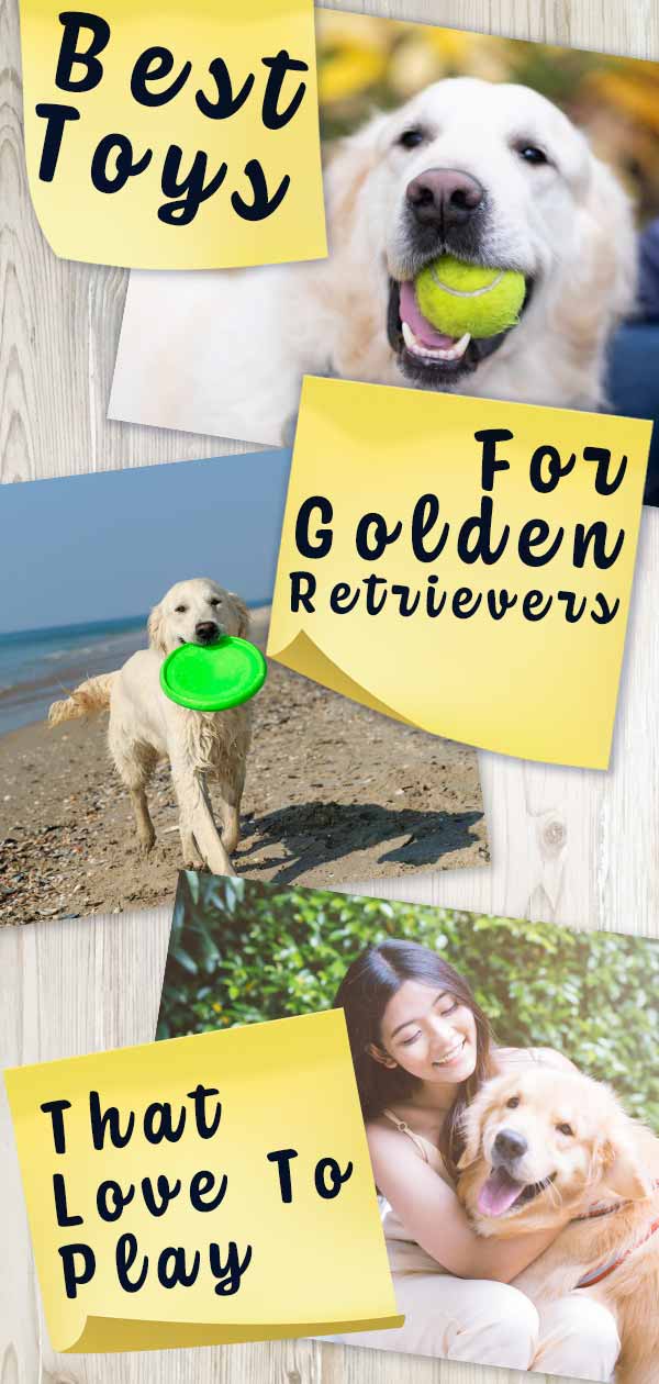 best toys for golden retrievers