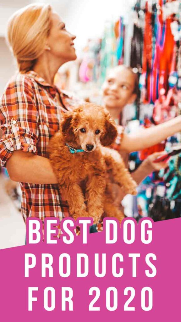 trending dog products