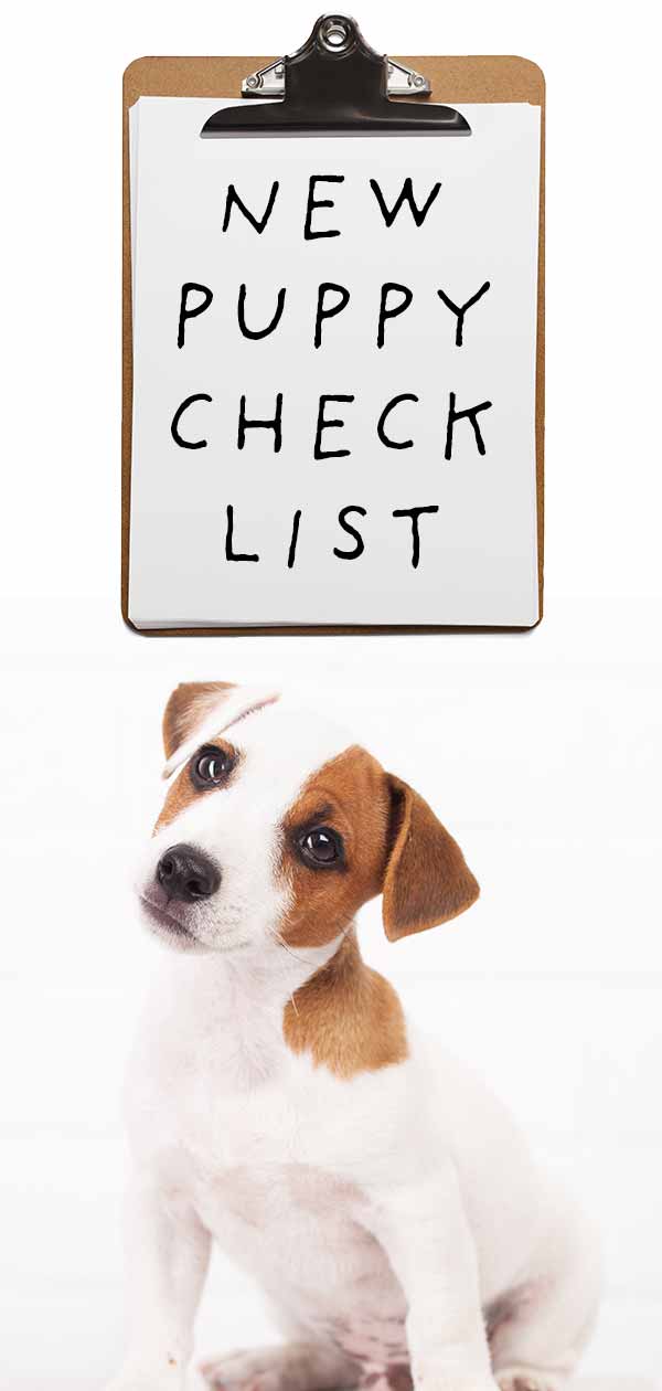 bringing home a new puppy checklist