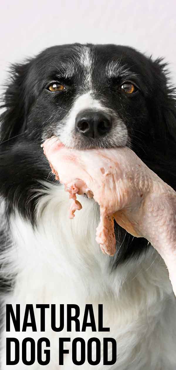 natural dog food