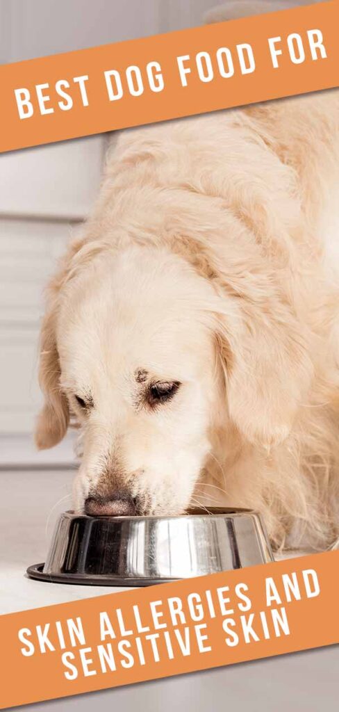 Best Dog Food For Skin Allergies And Sensitive Skin