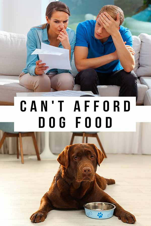 can't afford dog food