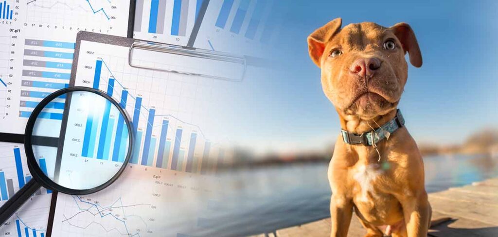 Pitbull Growth Chart At What Rate Should Your Puppy Grow