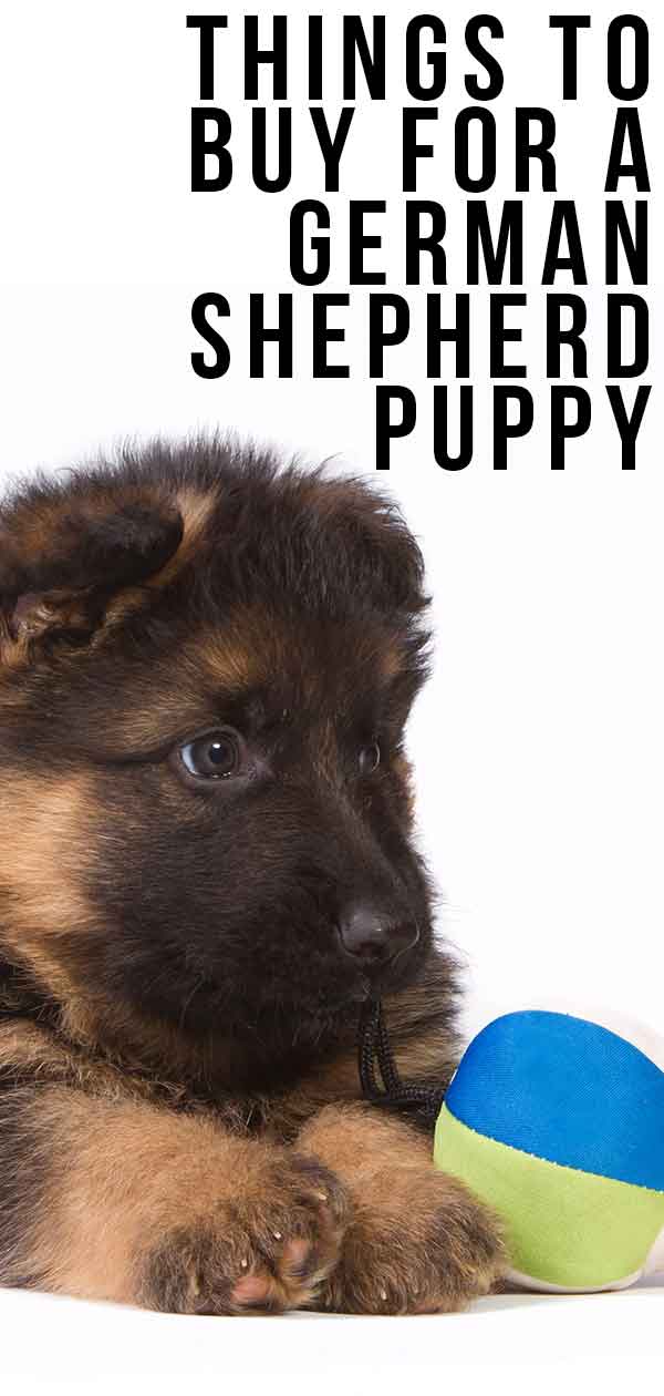 things to buy for a german shepherd