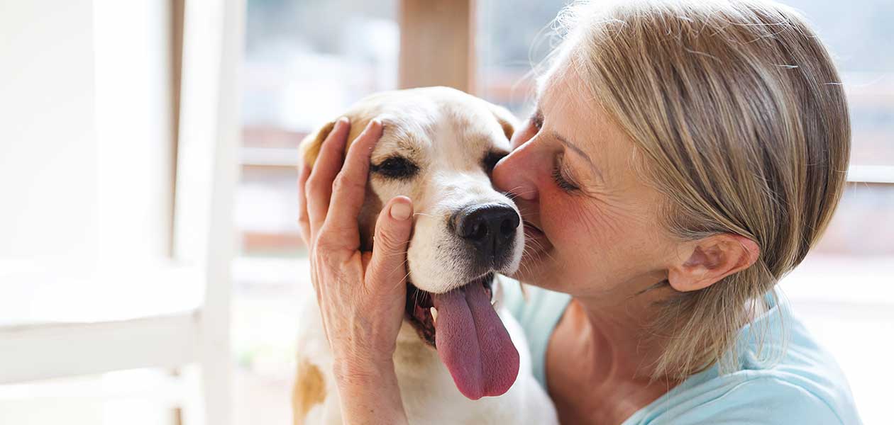 college-of-sciences-newsdirector-s-therapy-dogs-provide-comfort-in