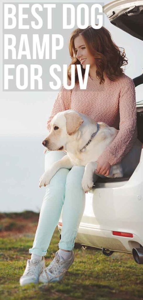 dog ramp for suv