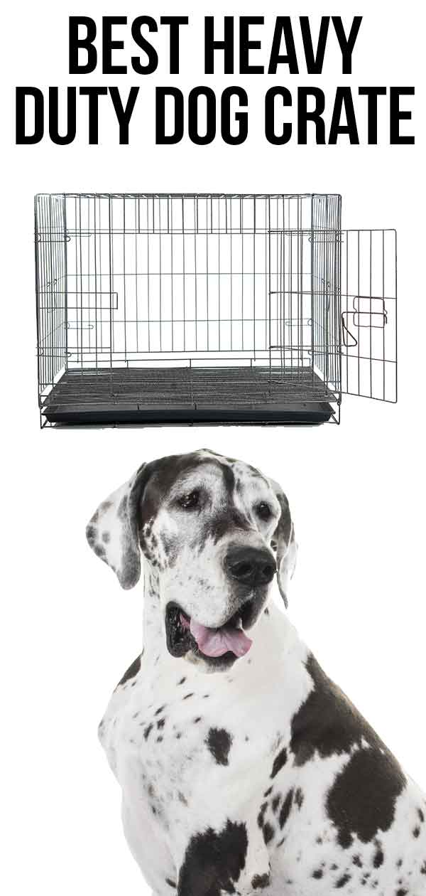 best heavy duty dog crate