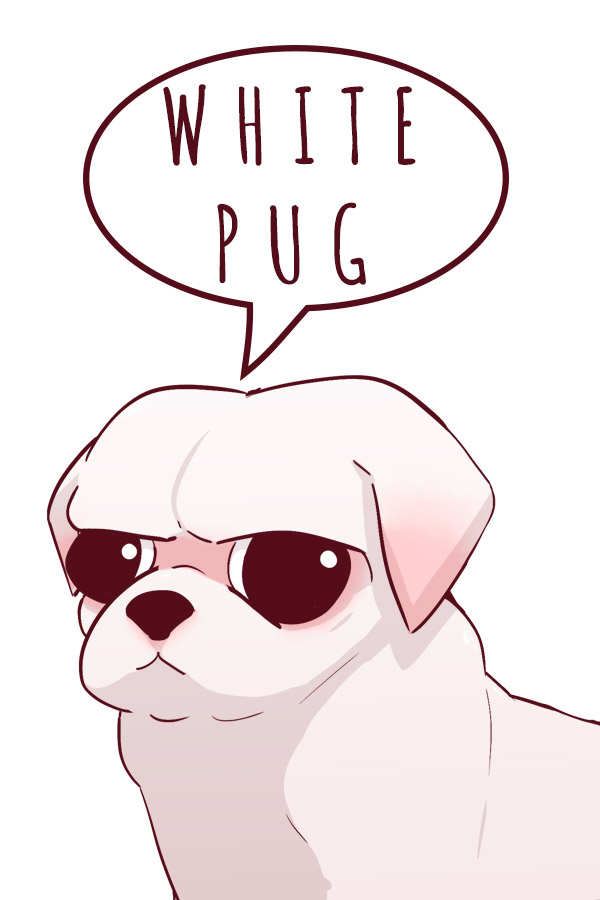 white pug