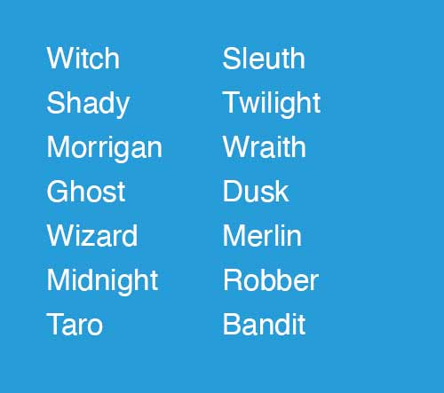 Witch Nightshade Shady Morrigan (phantom queen) Ghost Wizard Midnight Tarot Sleuth Twilight Wraith Dusk Merlin Robber